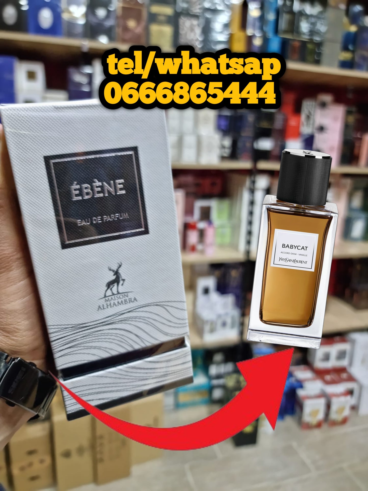 Ébène Maison Alhambra pour homme et femme 100 ml