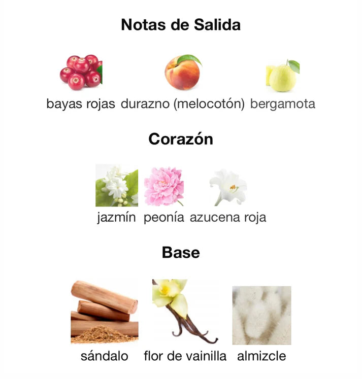 Maahir Lattafa Perfumes pour homme et femme - EAU DE PARFUM 100 ML