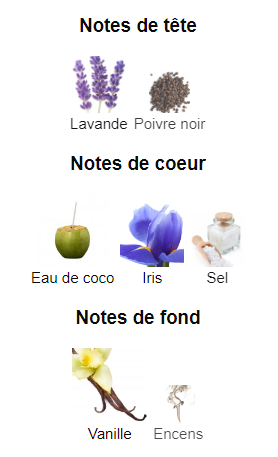 Asad Zanzibar - pour homme - Eau de parfum 100 ML