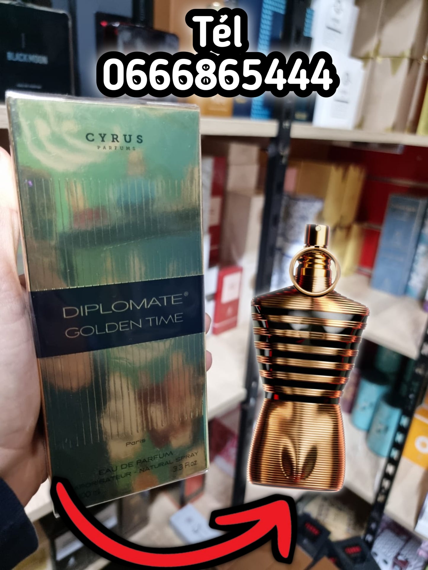 Diplomate Golden Time – Cyrus-100 ML