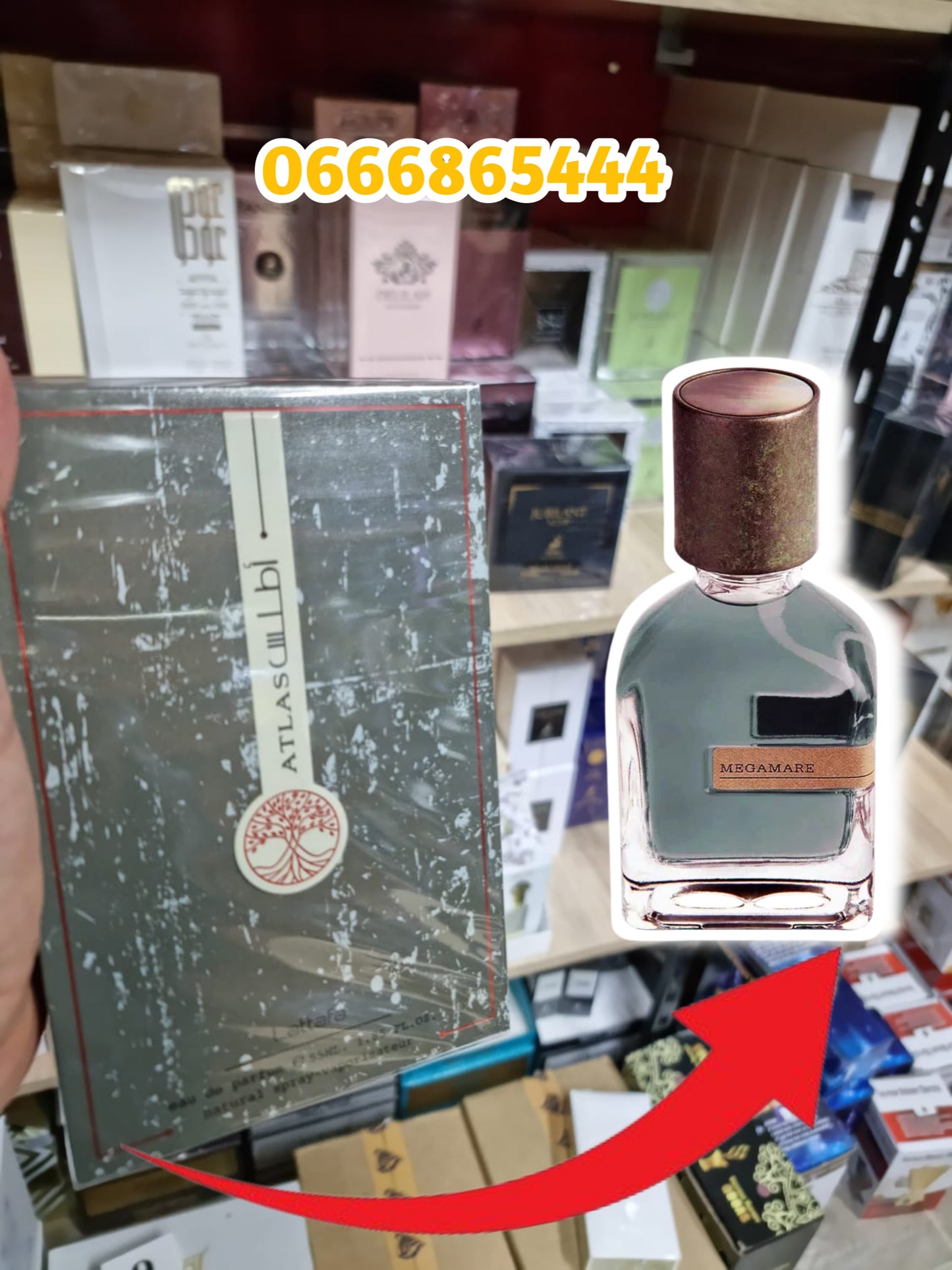 lattafa

Atlas – Lattafa Eau de Parfum 55ml