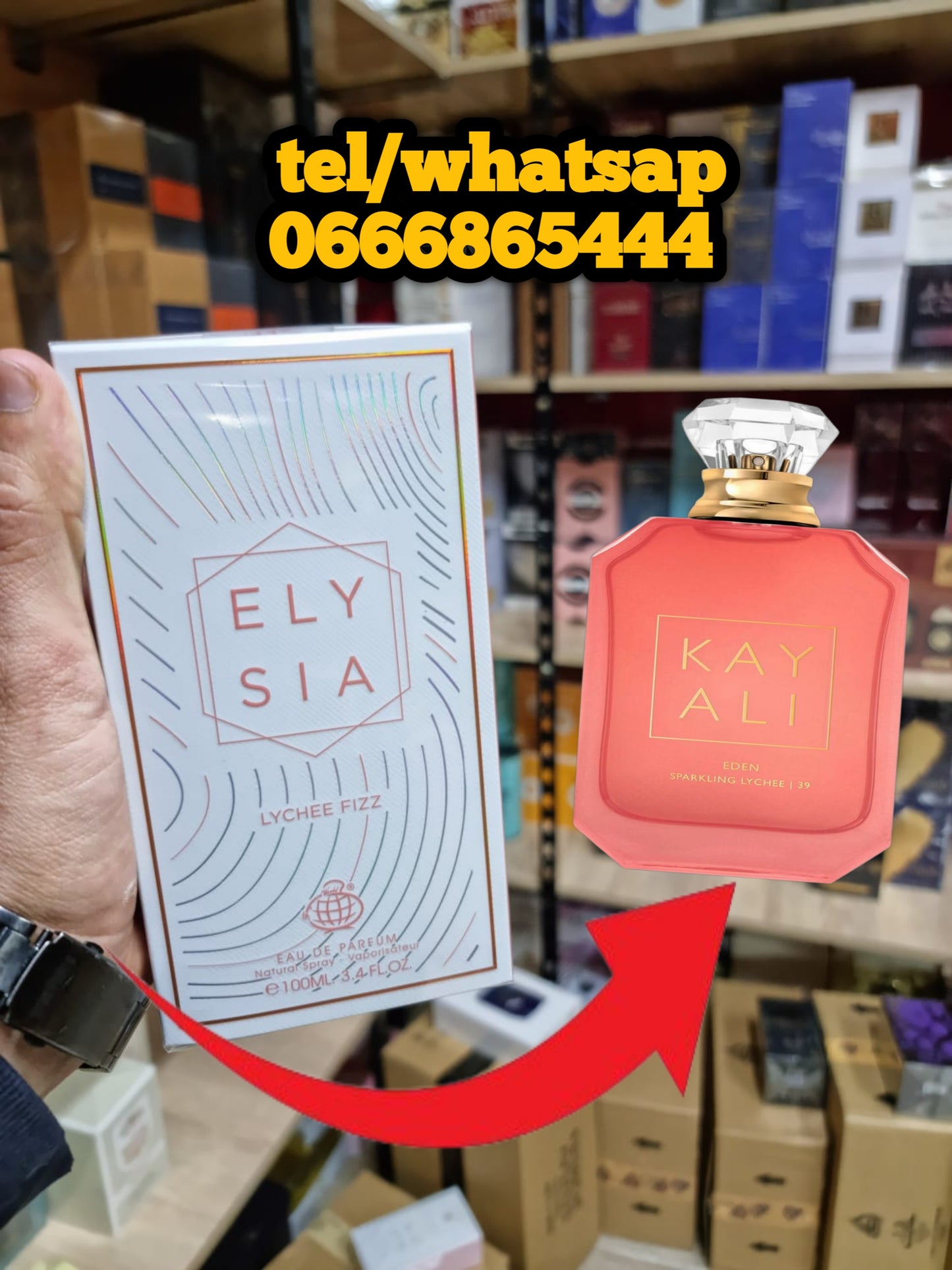 Elysia Lychee Fizz Fragrance World Parfum Femme 100ml