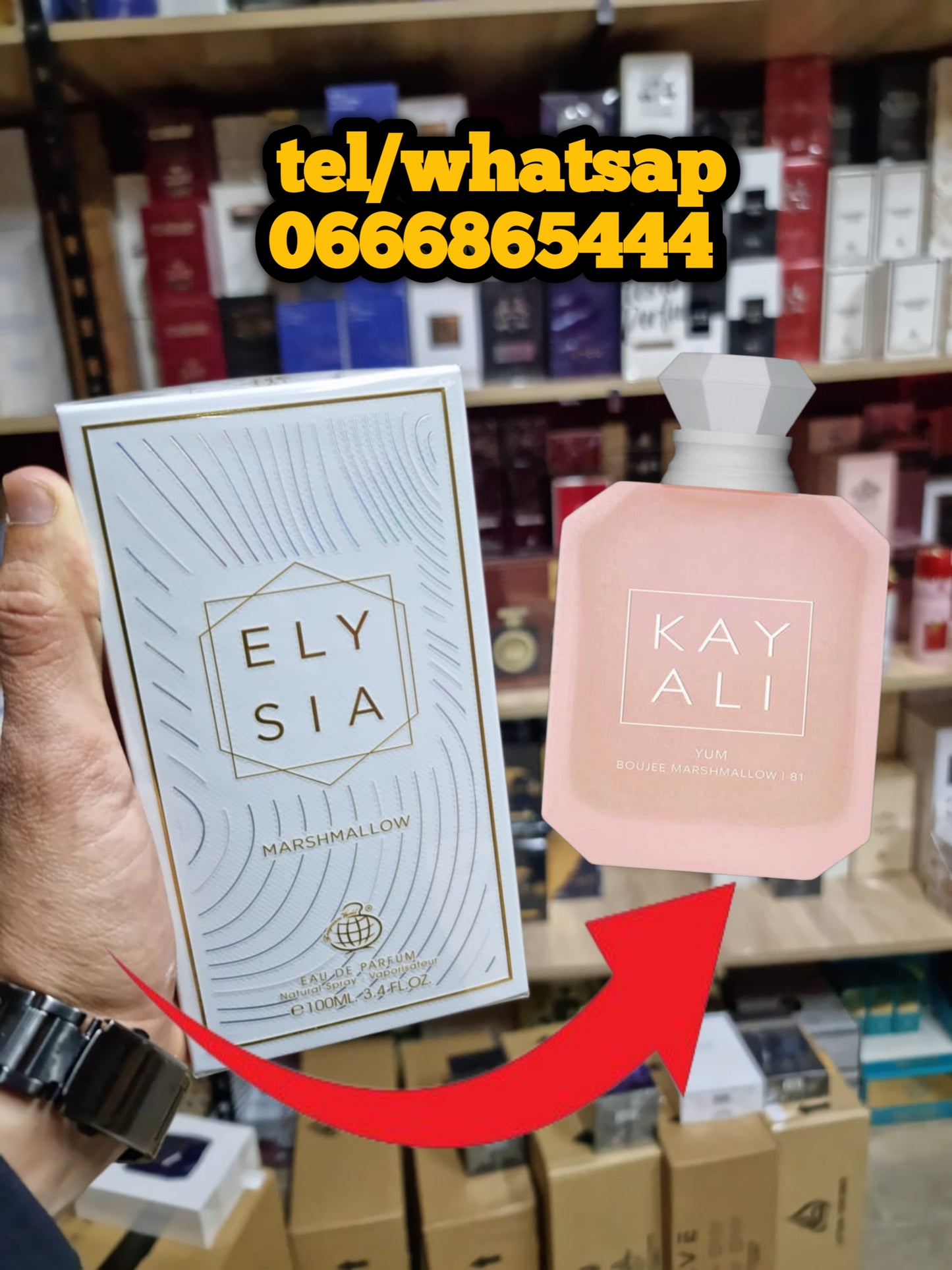 Elysia Marshmallow Fragrance World Parfum Femme 100ml