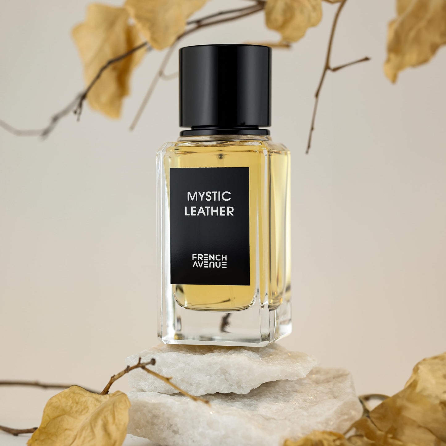 Mystic Leather Fragrance World & French Avenue – Parfum arabe (EDP, 100 ml)