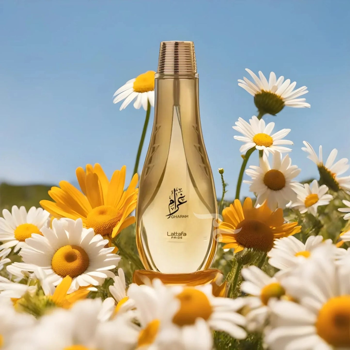 Eau de parfum Gharam 100ml – Lattafa Pride